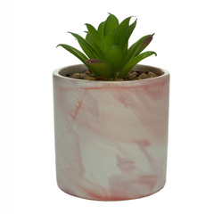 Vaso Cerâmica Rosa Marmorizado com planta