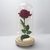 Rosa Pequeno Príncipe - Vermelha - comprar online