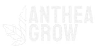 Anthea Grow