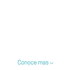 S.O.S CROSS S.A.S