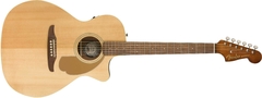 FENDER Newporter