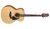 TAKAMINE GUITARRA ACUSTICA GN10NS