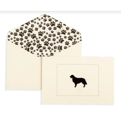 Cartão Nina Write - Cães - Golden