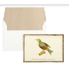 Cartão Nina Write - Pássaros - Rouxinol-do-Japão
