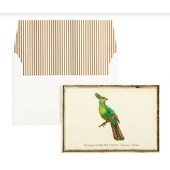 Cartão Nina Write - Pássaros - Tucano-de-Buffon
