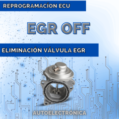 Eliminación válvula EGR Solucion P1440 P0403 EGR-off