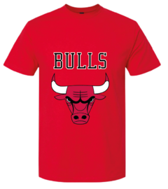 CAMISETA CHICAGO BULLS