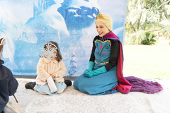 FROZEN en internet