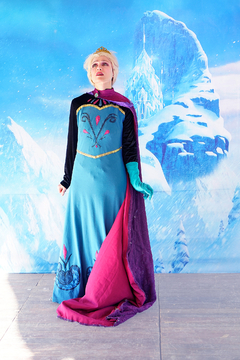 FROZEN en internet