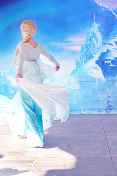 FROZEN - tienda online