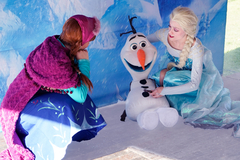 FROZEN - tienda online