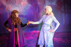 FROZEN - tienda online