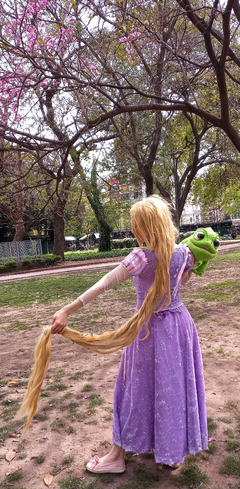 Imagen de Enredados- Rapunzel