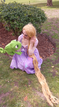 Imagen de Enredados- Rapunzel