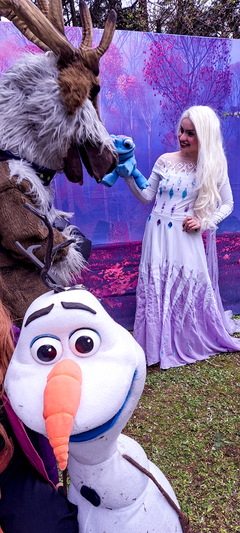 FROZEN - tienda online