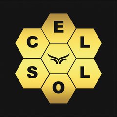 Imagem do Camiseta Cellos Honey Premium