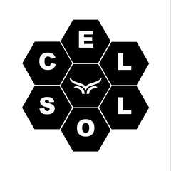 Camiseta Cellos Honey Premium na internet