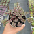 Sedum spurium variegata - comprar online