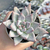 Echeveria "Seven Nights" - Korean - comprar online