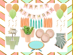 Party Kit Deluxe Peach & Mint - comprar online