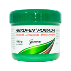 Ankofen Pomada Antiinflamatorio Analgésico x 250 gr