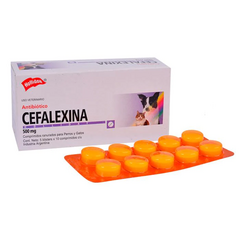 Cefalexina 500 mg Antibiótico x 10 Unidades