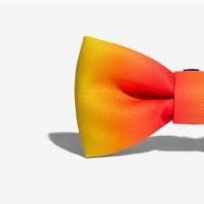 Corbatin para Perro ZeeDog Citrus Bow Tie Small en internet