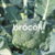 Brocoli (atado)