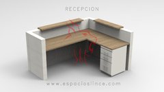 RECEPCION - comprar online