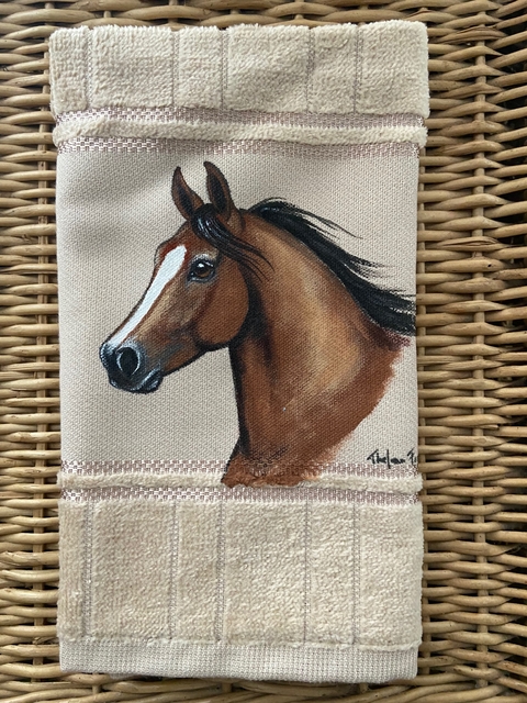 Jogo americano de cavalo, 30,5 x 45,7 cm, conjunto com 4, notas musicais à  prova de arranhões, tapetes de cowboy ocidentais, tema musical de cavalo  selvagem, jogo americano resistente ao calor para