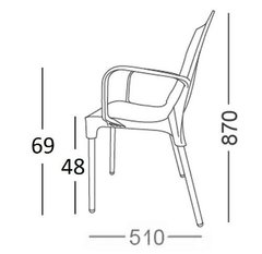 Imagen de Silla Lola Con Brazos Plastico Caño Cromado Exterior