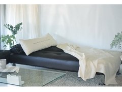 Sofa Cama Napa Con Apoyabrazos Base Cromada Ecocuero en internet