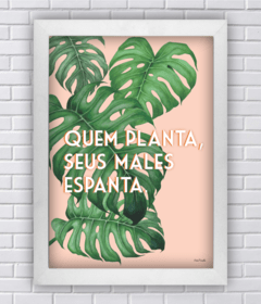 Quadro louca das plantas