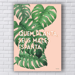 Placa louca das plantas