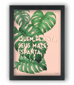 Quadro louca das plantas