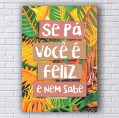 SE PÁ VOCÊ É FELIZ E NEM SABE (Ref:AV188/V146/P177) na internet