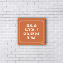 OCASIÃO ESPECIAL É CADA DIA QUE SE VIVE (Ref:P184) na internet