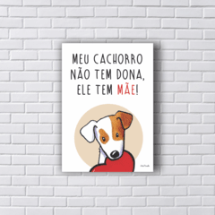 Placa mãe de cachorro