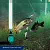 LEGENDARY FISHING PS4 - comprar online