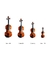 El precio de un violin General Music no varia según los tamaños. 4 violines de mayor a menor tamaño.