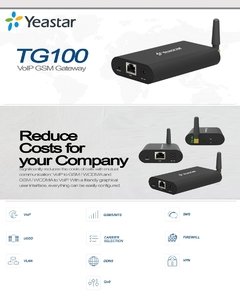 Gateway Yeastar GSM IP TG100 en internet