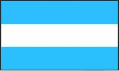 Papel afiche bandera argentina x 20 hojas