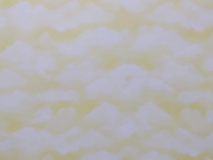 Cartulina bifaz 50 x 70 cm Nubes color 1 - comprar online