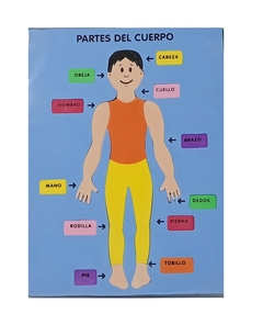 Art. N° 24: Encaje Cuerpo Humano En Goma eva - DISTRISEBA