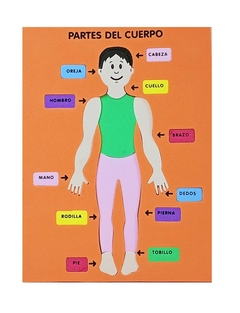 Art. N° 24: Encaje Cuerpo Humano En Goma eva