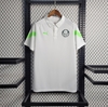 Camiseta POLO Palmeiras Training