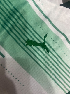 CAMISETA PALMEIRAS na internet