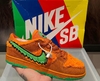 Nike SB Dunk Low X Grateful Dead Bears "Orange"