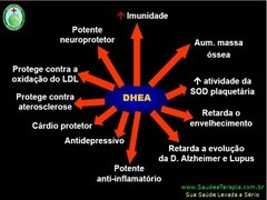 DHEA: O Super-Hormônio da MUSCULAÇÃO na internet