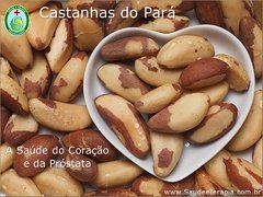 ÓLEO de CASTANHA DO PARÁ – Excelente Fonte de SELÊNIO